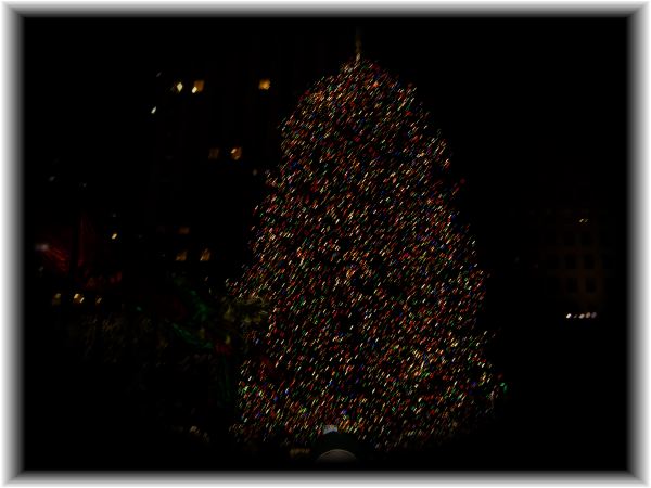 Tree at Rockefeller Center