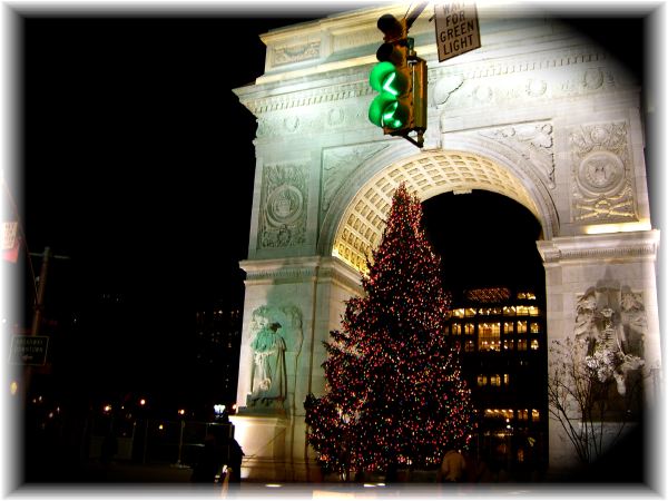 Tree at Washington Square