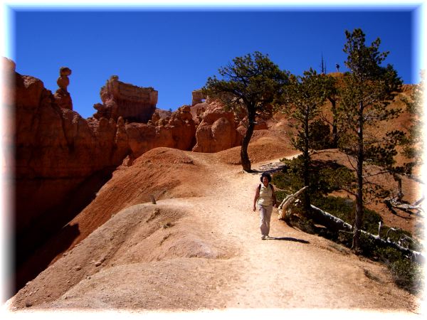 Trail At Bryce