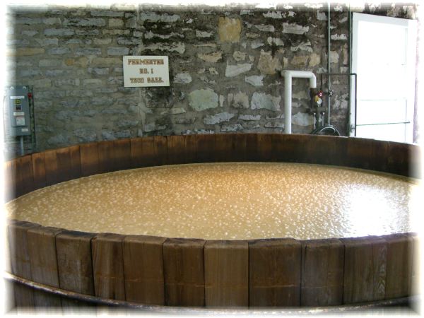 Fermenting Bourbon Mash