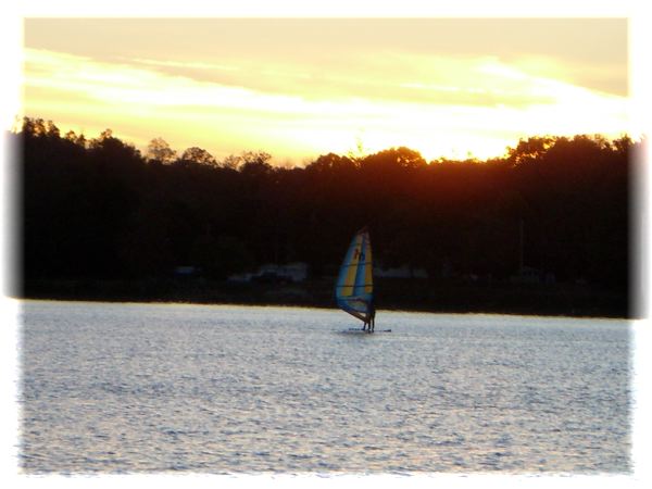 Wind Surfer Dude