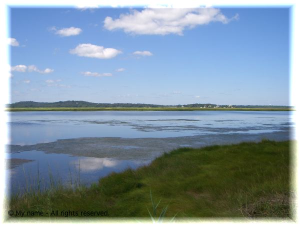High Tide