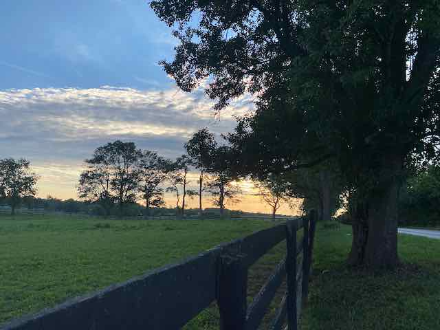 kentucky shot